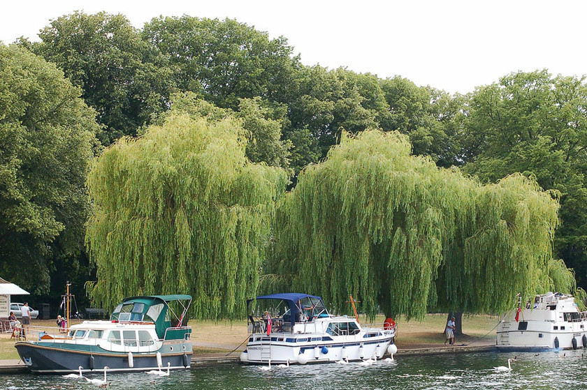 river thames, windsor